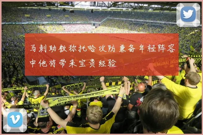 马刺助教称托哈攻防兼备年轻阵容中他将带来宝贵经验